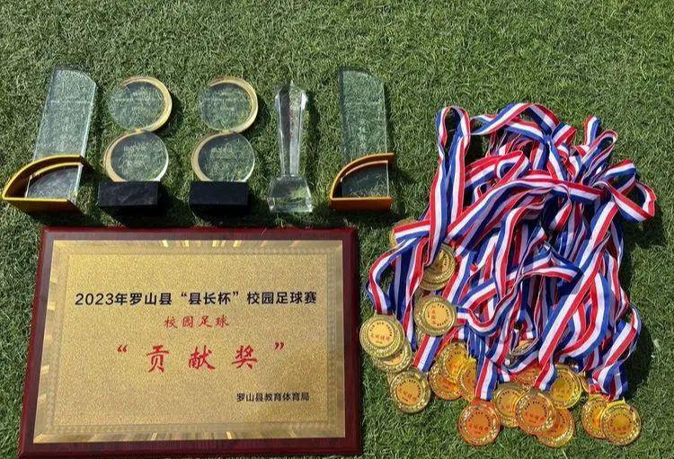 女子足球奥运冠军_女子足球哪个队得冠军最多_女足球运动员冠军