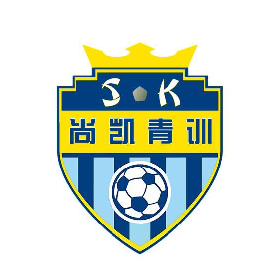 校园足球冠军杯_东城区校园足球总冠军_东城小学足球队