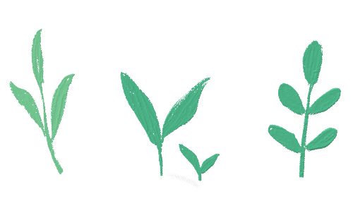 南开大学体育嘉年华飞盘比赛：促进校园和谐