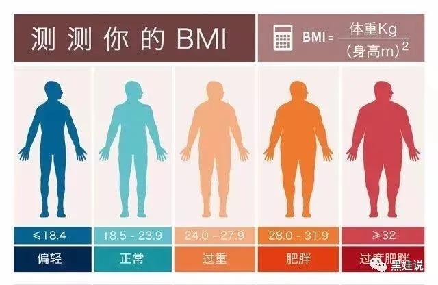 如何利用BMI和体脂率有效减肥瘦身？全面解析减肥塑形方法