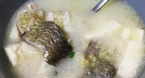 关于运动的培训方案_运动培训项目_威县有氧运动培训