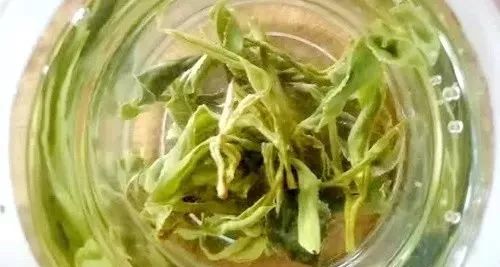 运动培训项目_关于运动的培训方案_威县有氧运动培训