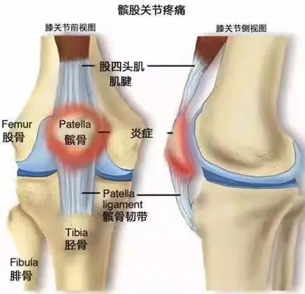 威县有氧运动培训_运动培训感想_运动培训项目