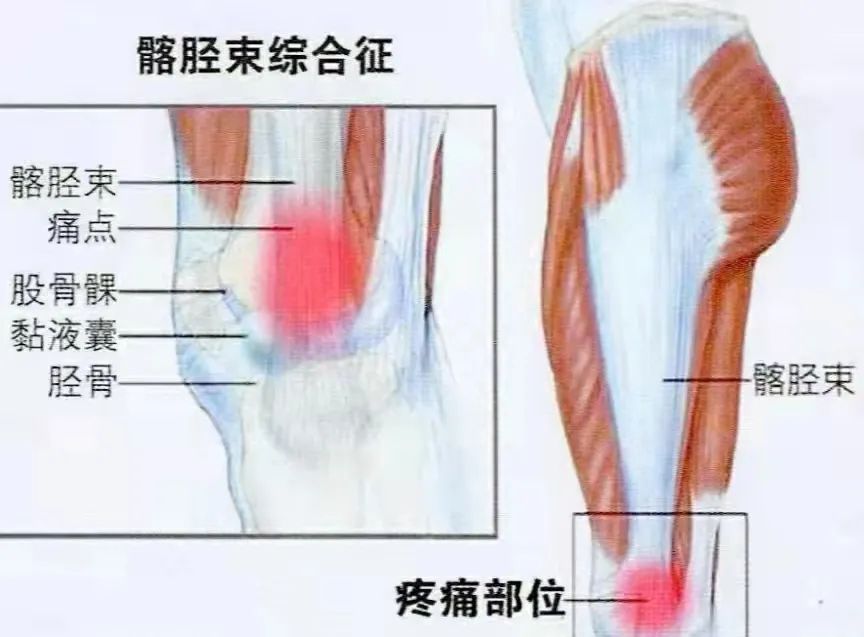 威县有氧运动培训_运动培训项目_运动培训感想