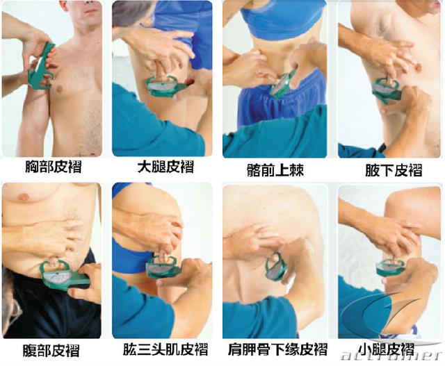 科学健身——如何系统的开始健身？