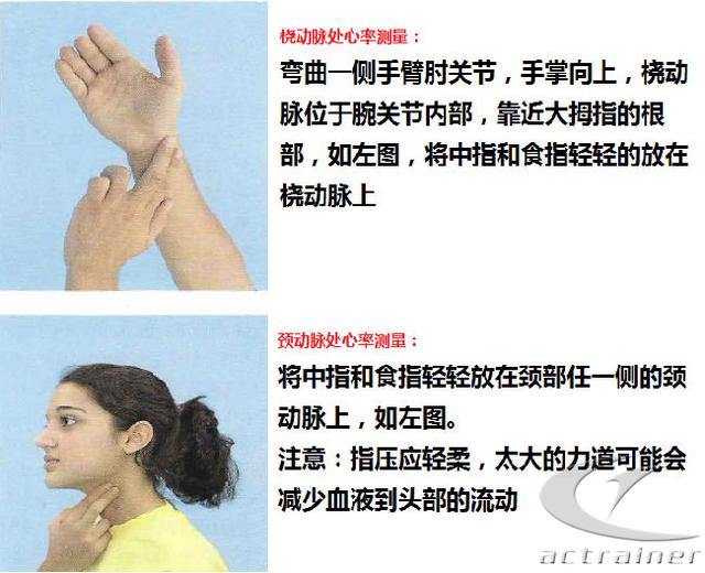 科学健身——如何系统的开始健身？