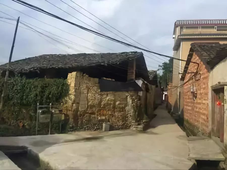 奥运举重石智勇视频_中国举重奥运冠军石智勇_早期的奥运举重冠军石智勇
