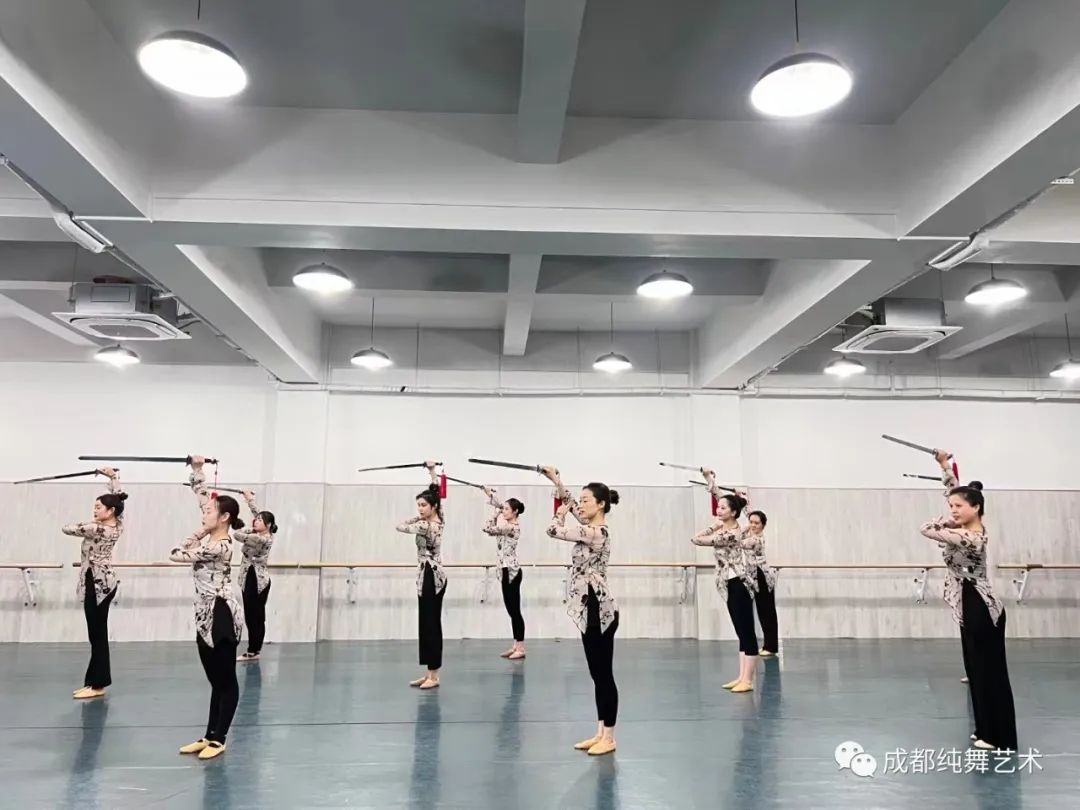 剑舞有哪些_常识剑舞基本有哪些动作_剑舞基本常识有哪些