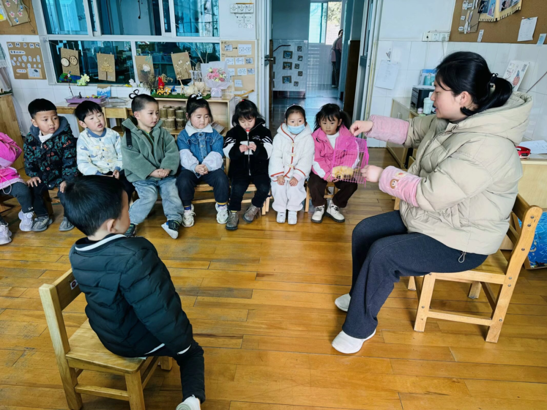 小鸡怎样生活_小鸡生活方式_小鸡的生活常识