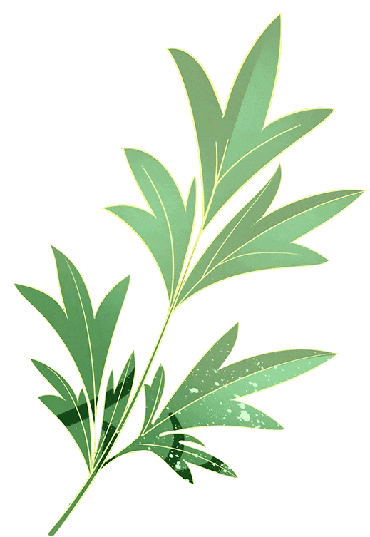 小鸡怎样生活_小鸡生活方式_小鸡的生活常识