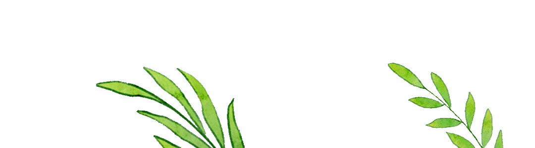 小鸡的生活常识_小鸡怎样生活_小鸡生活方式