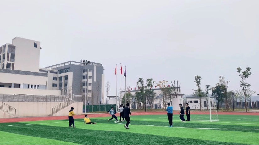 湖南师大足球单招自主招生_湖南师范大学足球冠军_湖南师范大学男子足球队