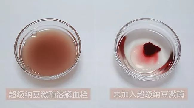 亚健康产品_亚健康团购_亚健康是不是传销