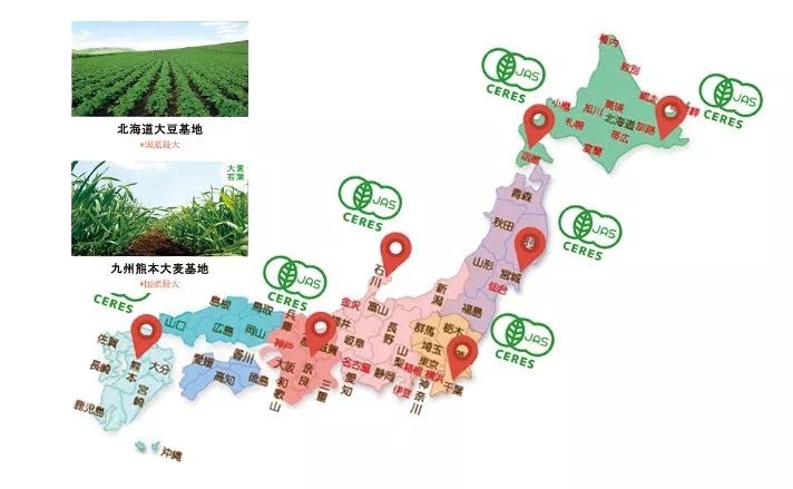 亚健康是不是传销_亚健康产品_亚健康团购