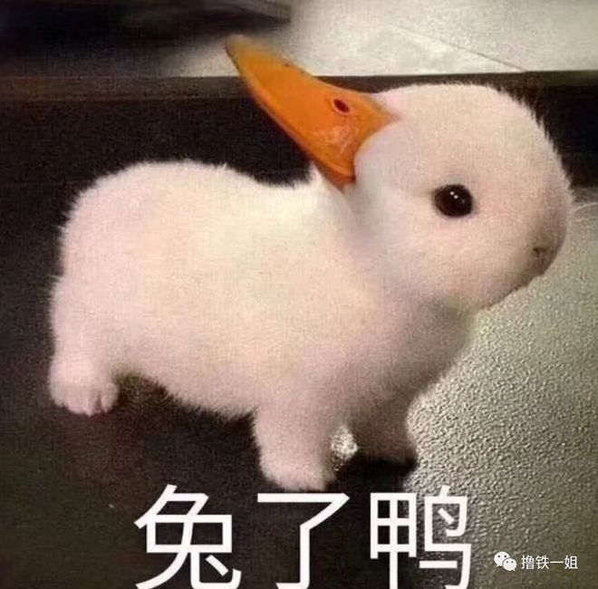 健身房黑私教提示语_健身房私教话术_健身房私教宣传语