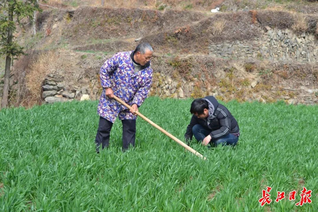 生活原始方式有哪几种_原始生活的生活方式_原始生活状态